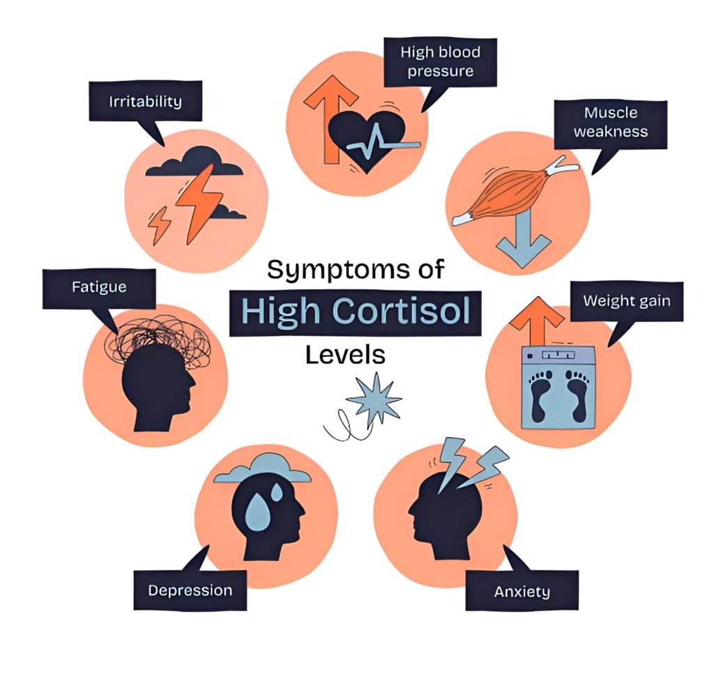 Illustration explaining hormonal imbalance symptoms that are caused by high cortisol level.