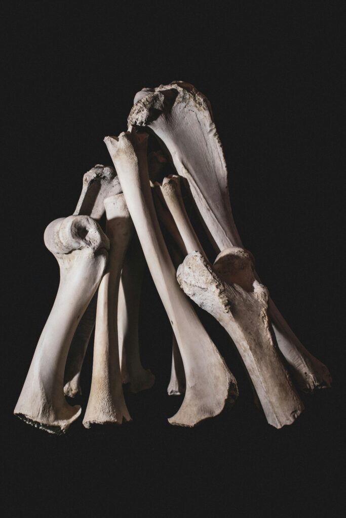 Foods for Strong and Healthy Bones