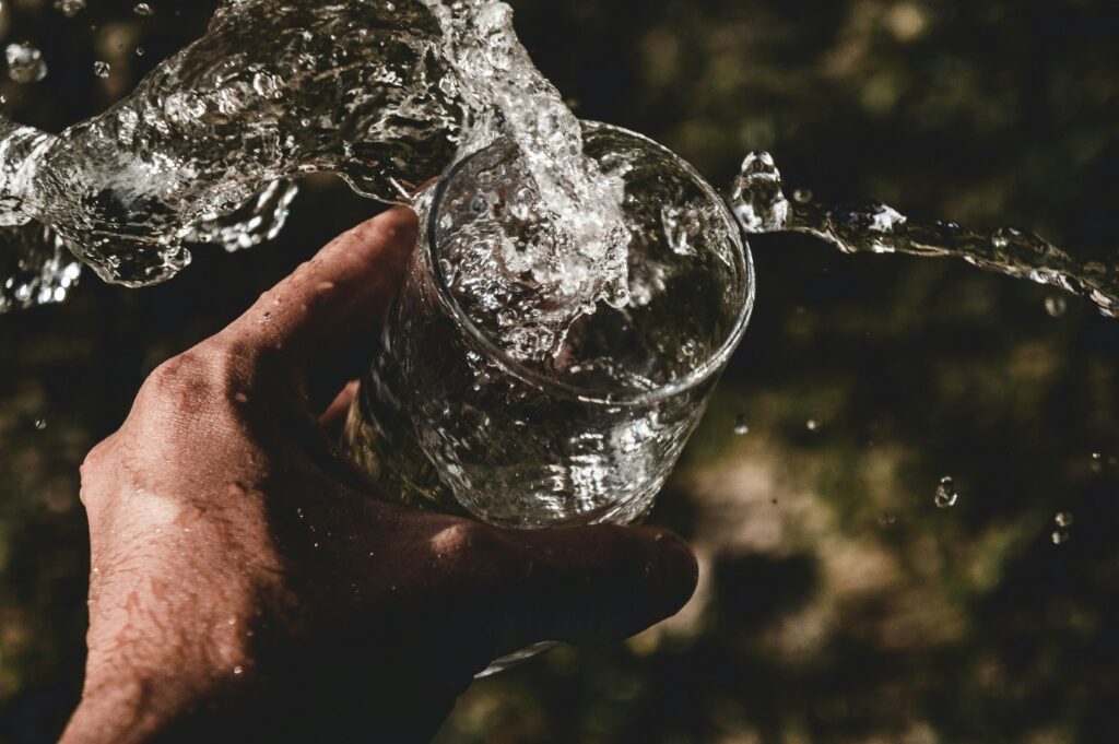 10 Essential Nutrients