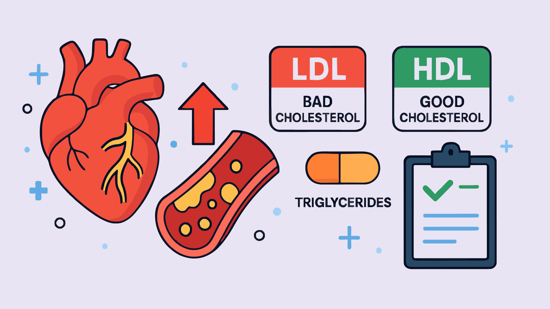 Heart Illustration Showing Bad Cholesterol, Good Cholesterol and Triglycerides