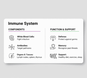 Immune system