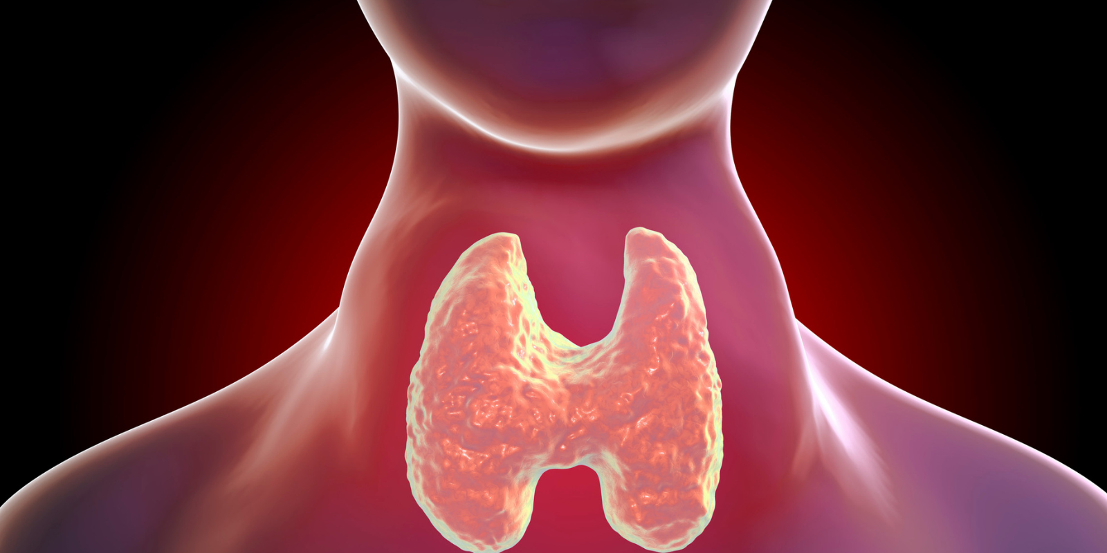 Thyroid Disorder Management: 6 Alarming Signs & Doctor-Recommended Treatment Solutions