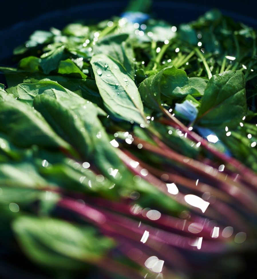 Mediterranean diet vegetables