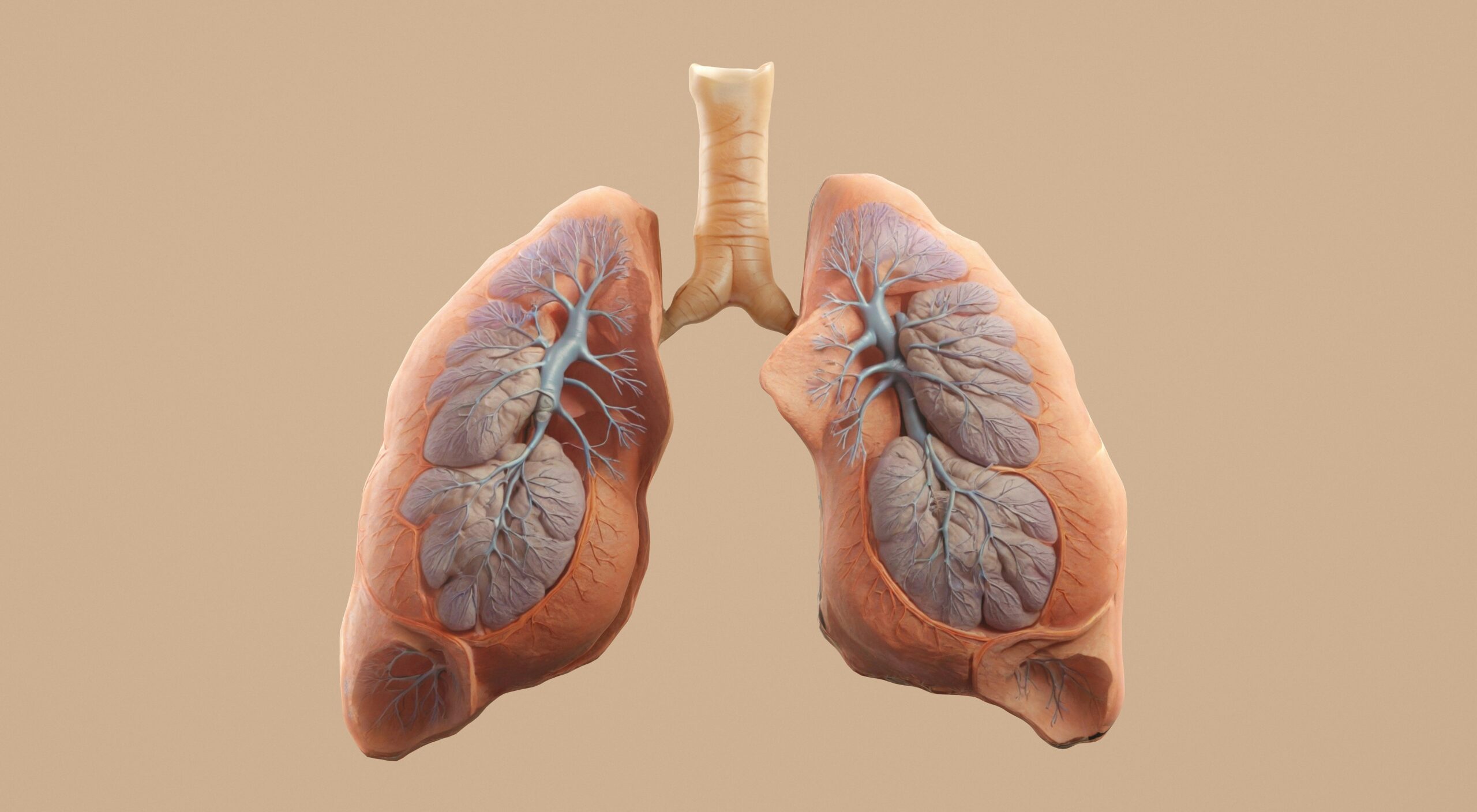 Pneumonia Symptoms, Causes, Risk Factors, and Treatment: 9 Critical Facts
